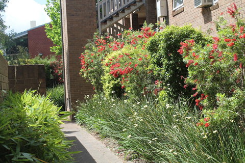 Adelaide DressCircle Apartments - Archer Street - Mackay Tourism 18