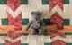 Rezare House Bed & Breakfast - thumb 3