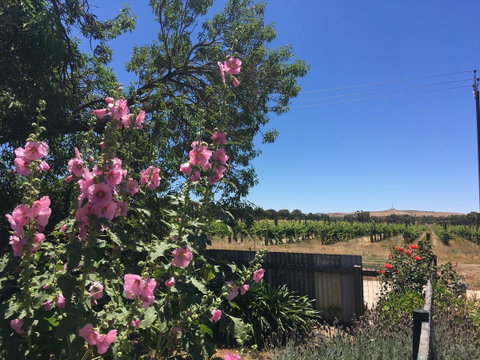 Amy\'s House Bed & Breakfast - Mackay Tourism 29