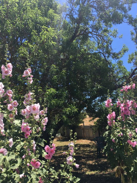 Amy\'s House Bed & Breakfast - Mackay Tourism 37