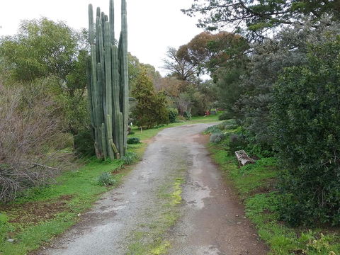 The Pig And Whistle - Mackay Tourism 37