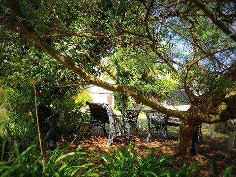 The Pig And Whistle - Mackay Tourism 4