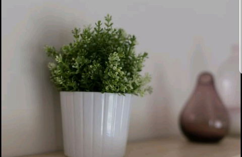 Belford Luxury * New * Clean * Cafes * Near CBD - Mackay Tourism 13