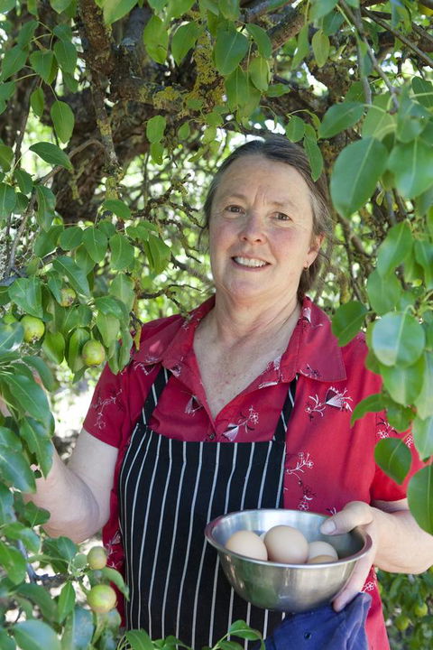 The Fruiterer's - Mackay Tourism 6