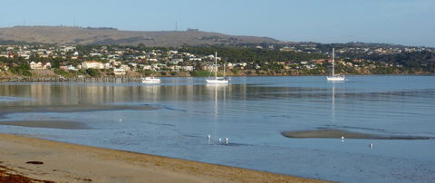 Hilton Beachfront Motel - Mackay Tourism 43