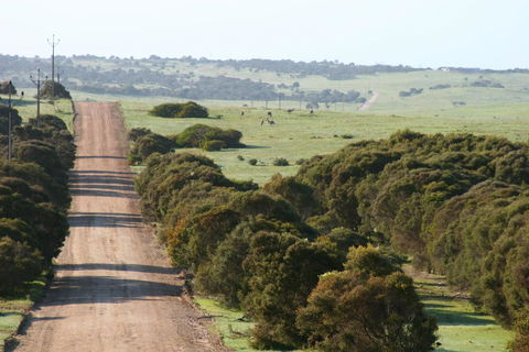 Almonta Park Lodge - Mackay Tourism 1