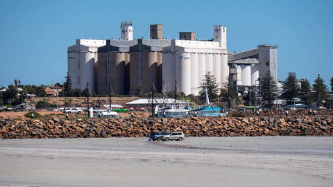 Wallaroo Holiday Park - Mackay Tourism 8