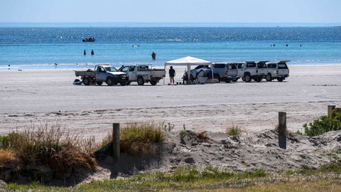 Wallaroo Holiday Park - Mackay Tourism 9