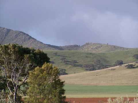 Burra Motor Inn - Mackay Tourism 32