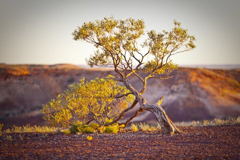 The Lookout Cave Underground Motel - Mackay Tourism 22