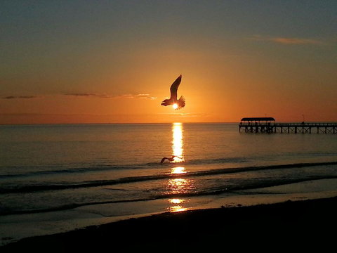 Adelaide Luxury Beach House - Mackay Tourism 37