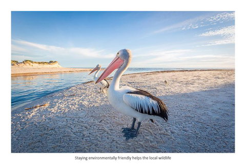 Adelaide Luxury Beach House - Mackay Tourism 25