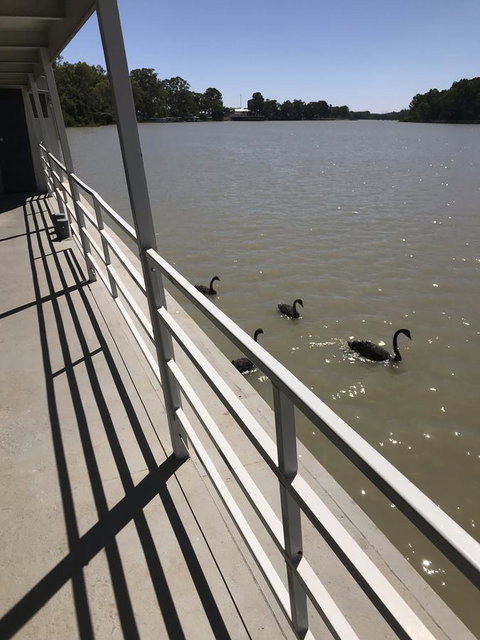 Murray River Queen - Mackay Tourism 7