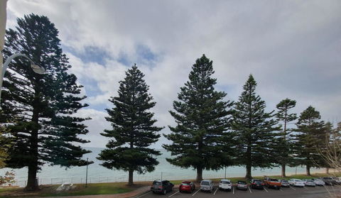 Pier Hotel Port Lincoln - Mackay Tourism 12