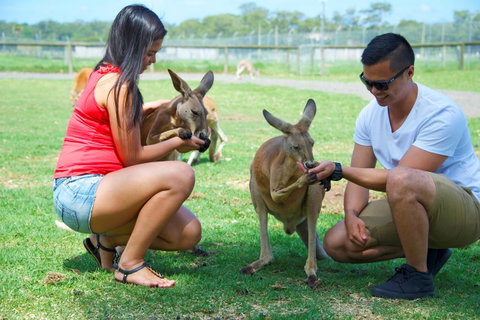 One Mile Retreat - Mackay Tourism 25