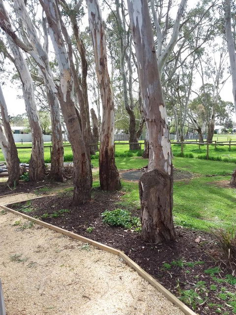 Cloisters Of Kalangadoo - Mackay Tourism 6