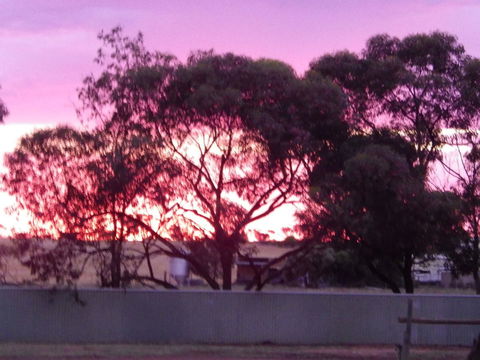 Wudinna Gawler Ranges Motel And Caravan Park - Mackay Tourism 11