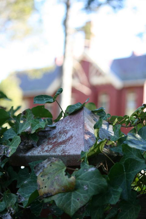Pirralilla Estate Adelaide Hills - Mackay Tourism 27
