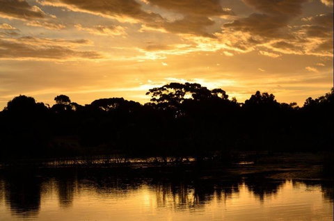 Discovery Parks - Kangaroo Island - Mackay Tourism 36