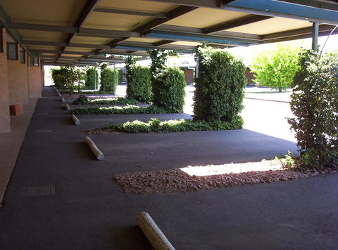 The Wine Vine Hotel - Mackay Tourism 17