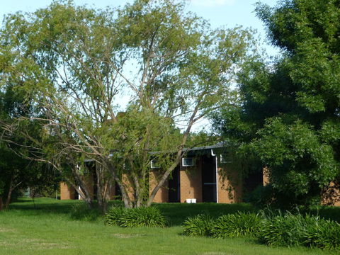 The Wine Vine Hotel - Mackay Tourism 18