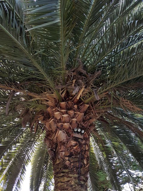 Possum Cottage - Mackay Tourism 3