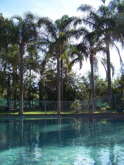 Abcot Inn - Mackay Tourism 27