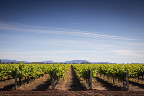 Quest Griffith - Mackay Tourism 14