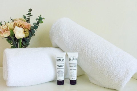 20 Hill Avenue Bed & Breakfast - Mackay Tourism 9