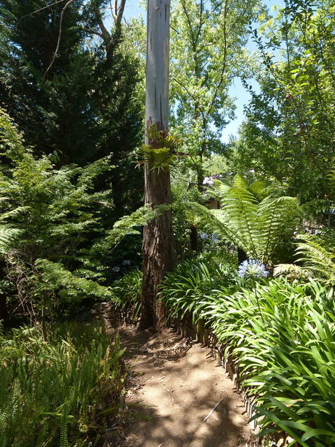 Aldgate Creek Cottage Bed And Breakfast - Mackay Tourism 27