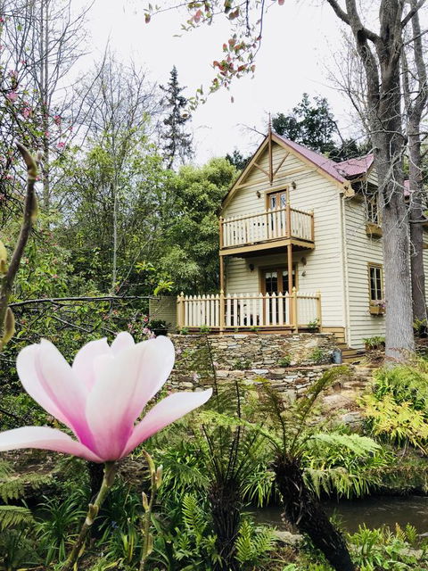 Aldgate Creek Cottage Bed And Breakfast - Mackay Tourism 6