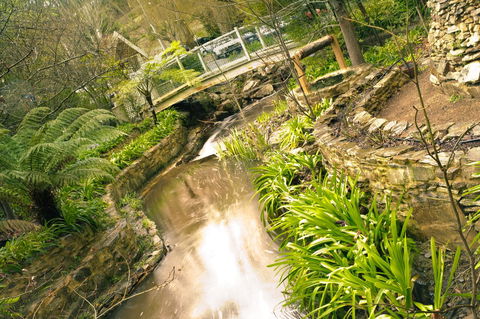 Aldgate Creek Cottage Bed And Breakfast - Mackay Tourism 17