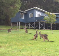 Blue House Denmark - Mackay Tourism
