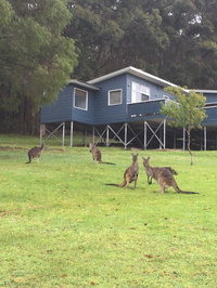 Book Denmark Accommodation Vacations Mackay Tourism Mackay Tourism