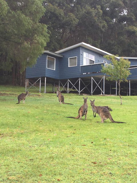 Blue House Denmark - Mackay Tourism 0