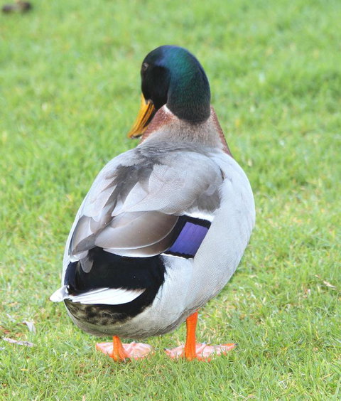 Riverview Tourist Park - Mackay Tourism 26