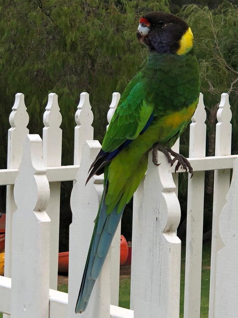 Riverview Tourist Park - Mackay Tourism 20