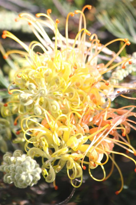 Riverview Tourist Park - Mackay Tourism 37