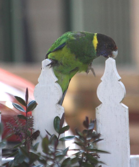 Riverview Tourist Park - Mackay Tourism 35