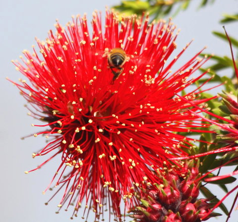 Riverview Tourist Park - Mackay Tourism 36