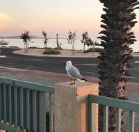 Shark Bay Seafront Apartments - Mackay Tourism