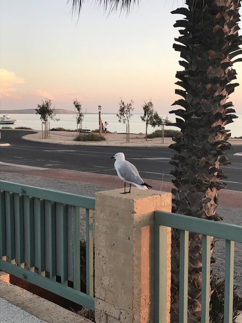 Shark Bay Seafront Apartments - Mackay Tourism 0