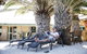 Shark Bay Seafront Apartments - thumb 22