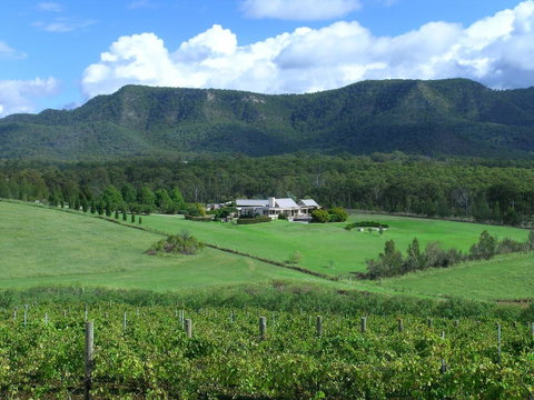 Grapevines Boutique Accommodation - Mackay Tourism 23