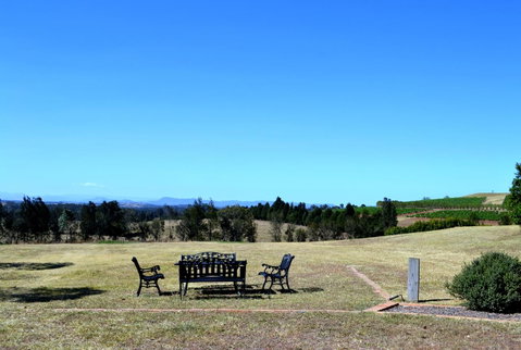 Grapevines Boutique Accommodation - Mackay Tourism 18