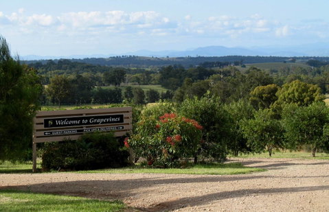Grapevines Boutique Accommodation - Mackay Tourism 15