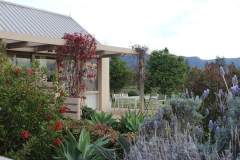Grapevines Boutique Accommodation - Mackay Tourism 28