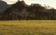 Grapevines Boutique Accommodation - thumb 26