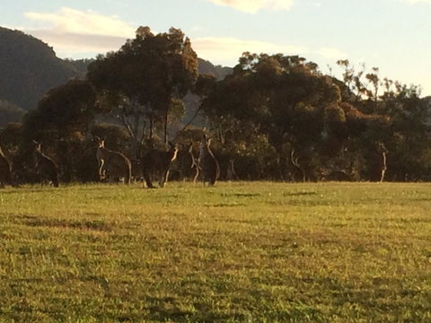 Grapevines Boutique Accommodation - Mackay Tourism 26