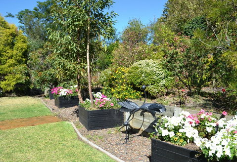 Grapevines Boutique Accommodation - Mackay Tourism 17